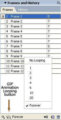 GIF Animation Looping pop-up menu